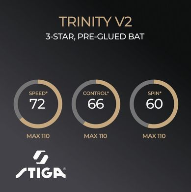 Ракетка для настільного тенісу Stiga Trinity 3 Star ver.2 FL (1213-1208-35)