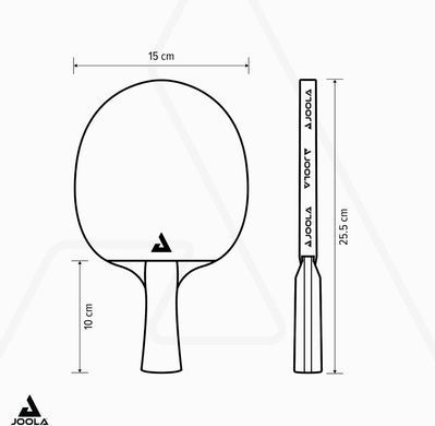 Ракетка для настільного тенісу Joola Carbon Control (54190)