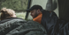 Намет двомісний Easy Camp Rondane 2 (120469)