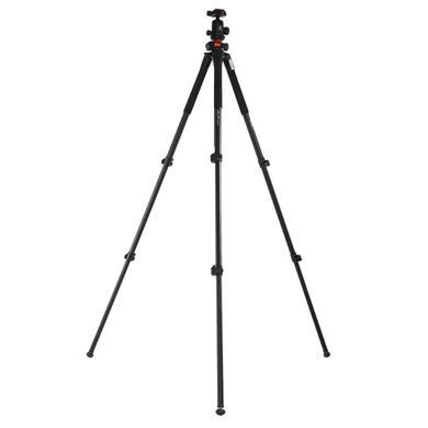 Штатив Vanguard Alta Pro 263AB 100 (Alta Pro 263AB 100)