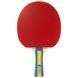 Набір для настільного тенісу Joola Team Master Pro 2 Bats 3 Balls (52001-1)