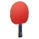Набір для настільного тенісу Joola Family Advanced 4 Bats 6 Balls (54823)