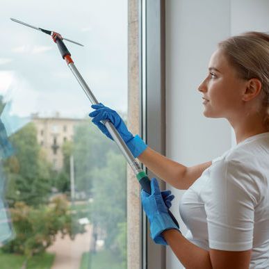 Згін Vileda Professional Еволюшн для миття скла та глянсових поверхонь, 45 см
