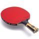Ракетка для настільного тенісу Butterfly Timo Boll Force FL (6110300002)