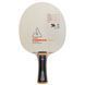 Основа для ракетки Joola Vyzaryz Freeze HRD FL (65040)