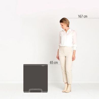 Бак для сміття Brabantia Pedal Bin Bo 60л 211300