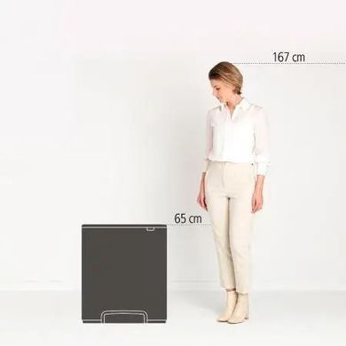 Бак для сміття Brabantia Pedal Bin Bo 60л 211300