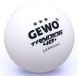 М'ячі для настільного тенісу Gewo Trainingsball 40+ 6 шт (85921200)
