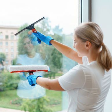 Шубка для миття вікон Vileda Professional Еволюшн, 45 см