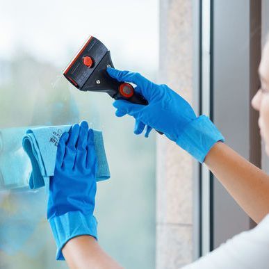 Скребок для вікон Vileda Professional Еволюшн